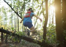 AdobeStock_272816695-min.jpeg