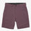 Miniatura: SHORT DE HOMBRE BILLABONG SRFTRK JOURNEY WKST FIG ABYWS00166/CLD