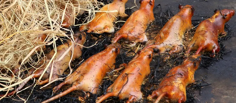 Món ăn Việt gây tranh cãi: Người tấm tắc khen ngon, người vội vã bỏ chạy