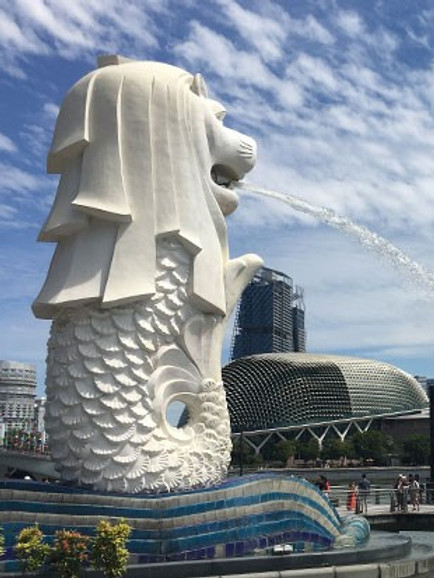西新井カフェ Little Merlion 日本 西新井カフェ Little Merlion 日本