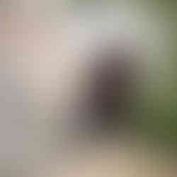 een plek in heren centrum war mensen zich ontmoeten vlak bij het station