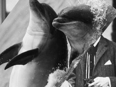 The Power Of Our Hidden Senses