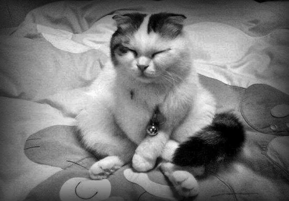 mindfulness meditation