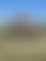 The eyes of the world are upon you – D-Day +0
