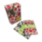 Pocket Notebook Gift Box by Parvum Opus Carta