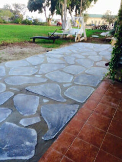 אקליפטוס גינון וטיפוח גינות בצפון