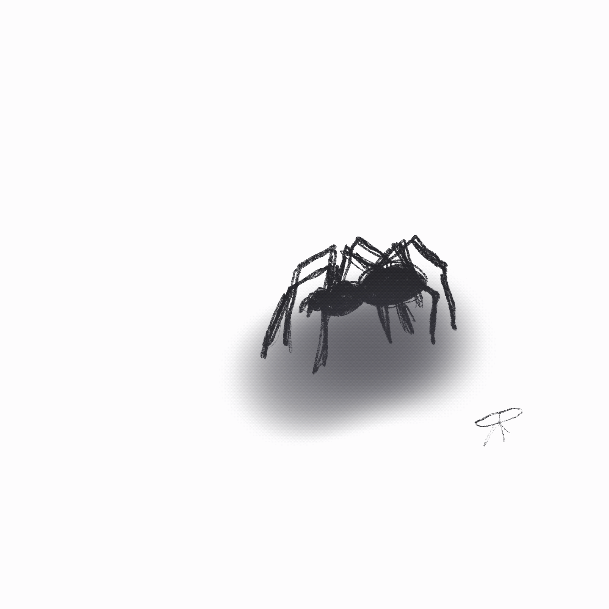 animated spider