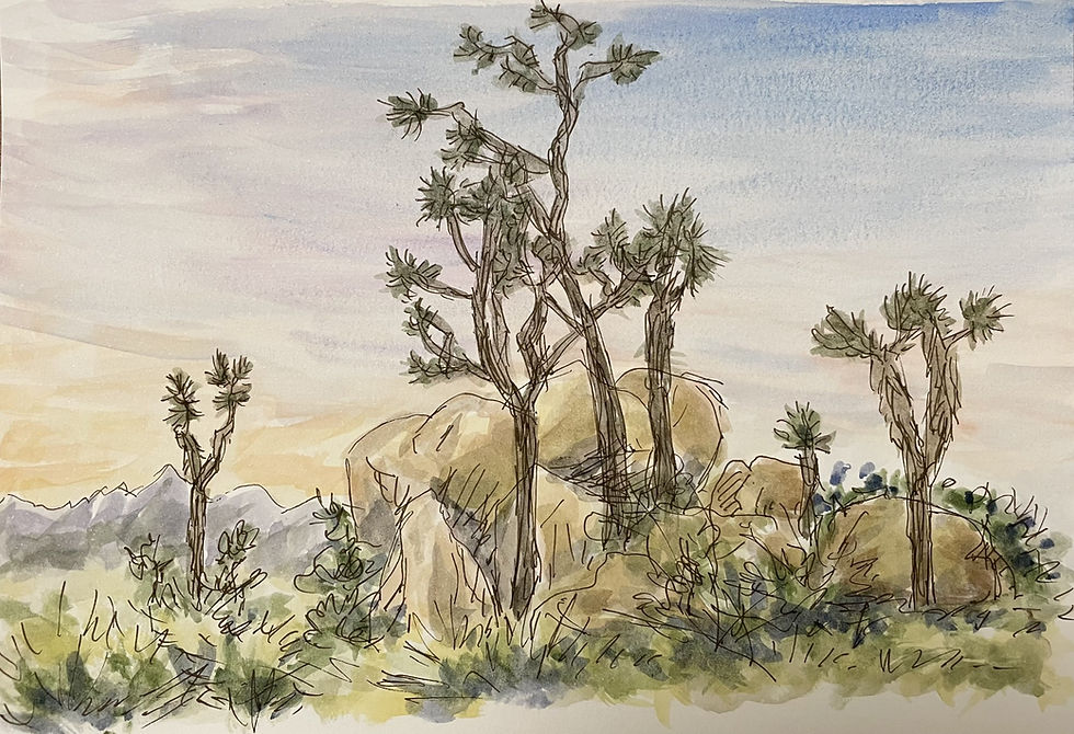 DRAWING LANDSCAPES: TREES, GRASSES & ROCKS