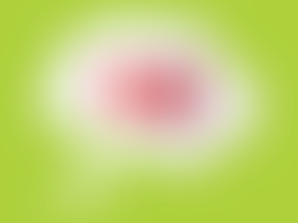 Tax Planning to Help New Franchisees