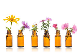 que-son-las-flores-de-bach.jpeg