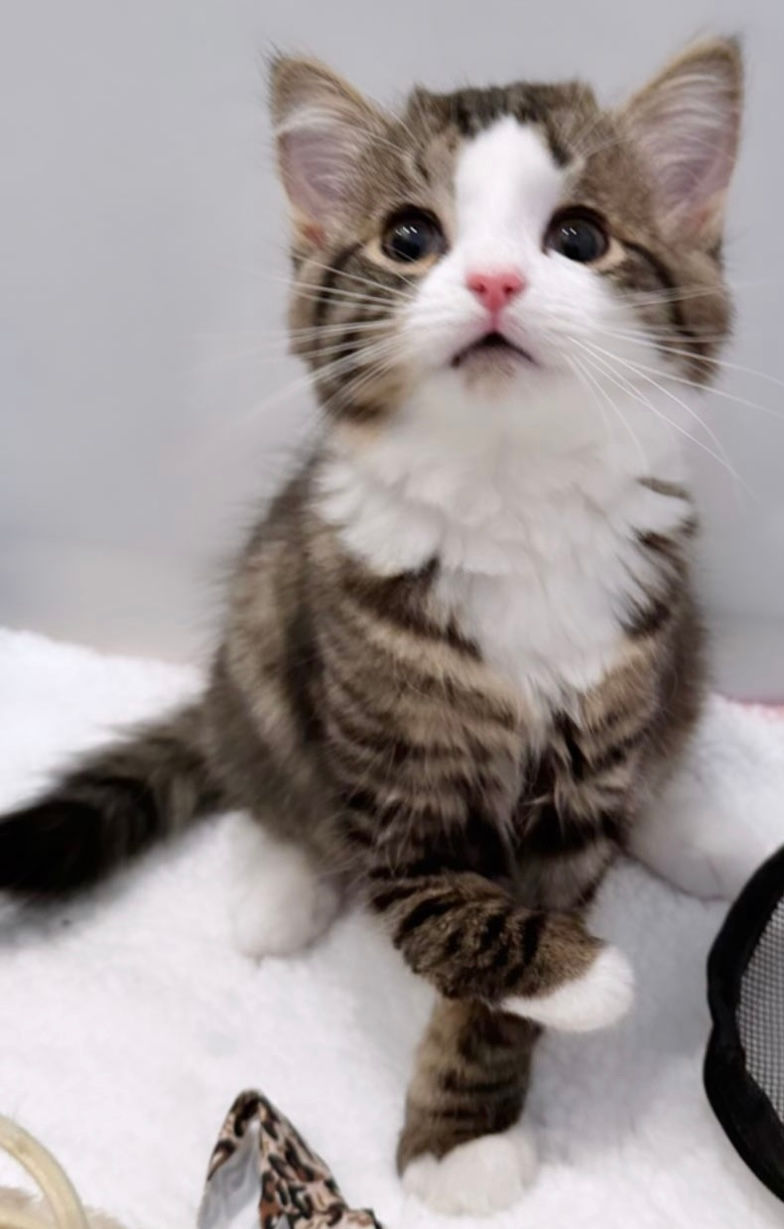Baby Milly + her Radial Aplasia