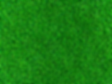 Turf(Small).png