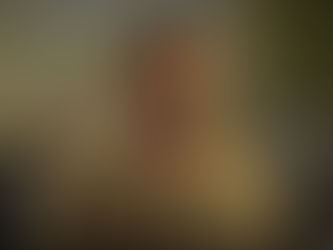 Sikandar Movie Review: Salman Khan’s Worst Performance Ever? Rating: 1.5/5