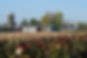 Shady_Acres_2024-802.jpg