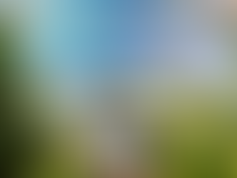 Beyond Your Panic Attack