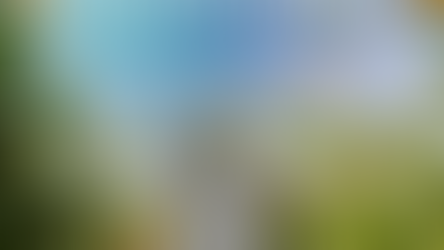 Beyond Your Panic Attack