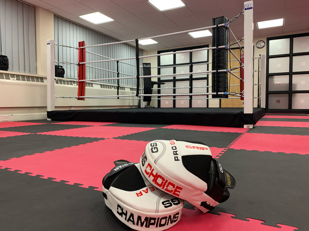 Sports Performance Center Kids And Adults Boxing Kingswinford Dudley Kickboxing Martial Arts Near Me Gym Offers Training