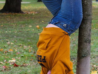 New views for a world overturned