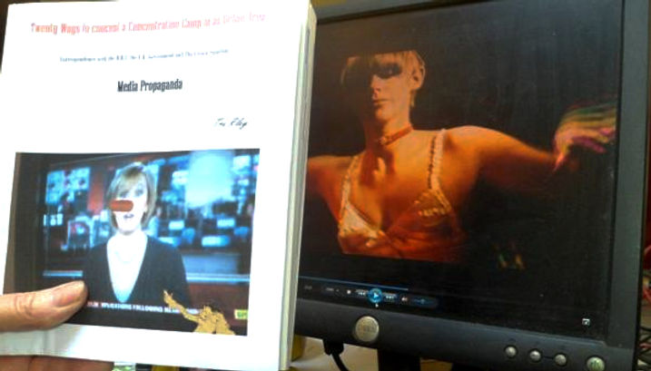 A hand holds a paperback in front of a TV showing a girl in a shiny bra.