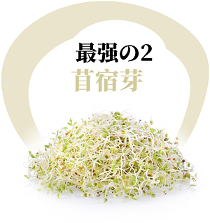 最强2.png