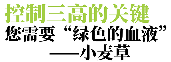 控制三高标题.png
