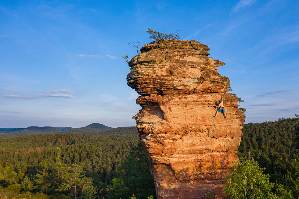 Miniaturbild: Pfalz - Wald und Wandern