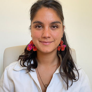 Paula Andrea Valenzuela Araus