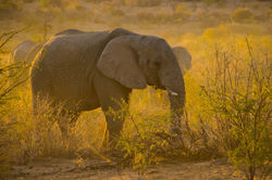 namibia-4780251_1920