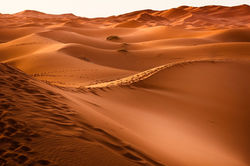 desert-1270345_1280