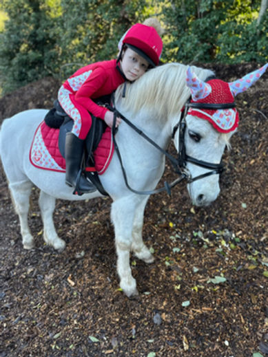 Bespoke Premium Equestrian Set 3