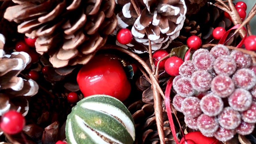 December in the Garden