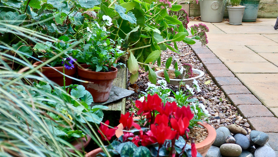 October in the Garden