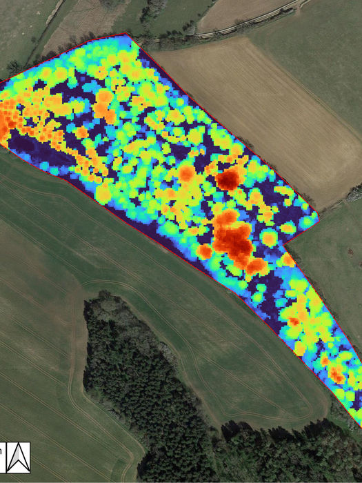 Canopy Height Models showing the variation in tree height within a specific plot of land