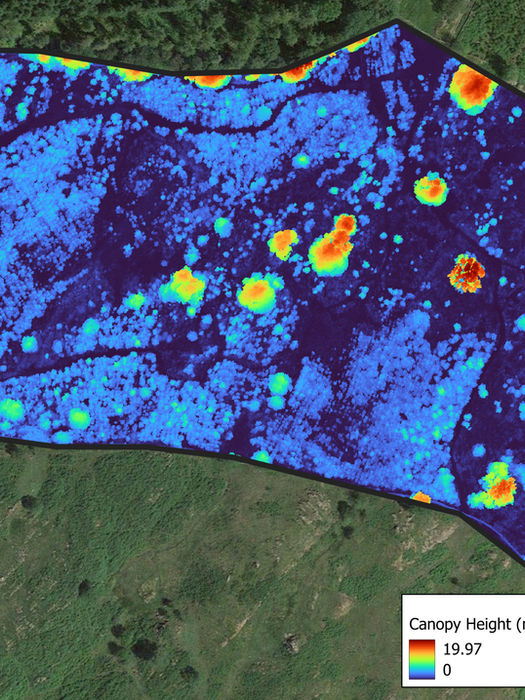 Canopy Height Models showing the variation in tree height within a specific plot of land