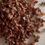 Thumbnail: Channa Chilka (Channa Bhusi)