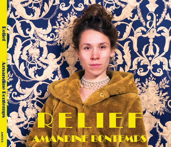 Sortie le 4 décembre : premier album d'AMANDINE BONTEMPS