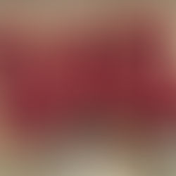 Volleyball Damen - Meister 2025/26