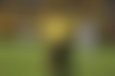 Dinenno abrirÃa en el once titular de Barcelona