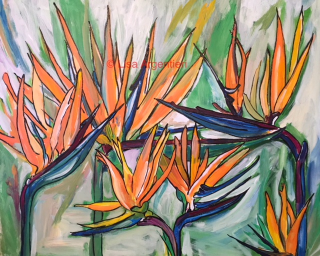 Bird of Paradise