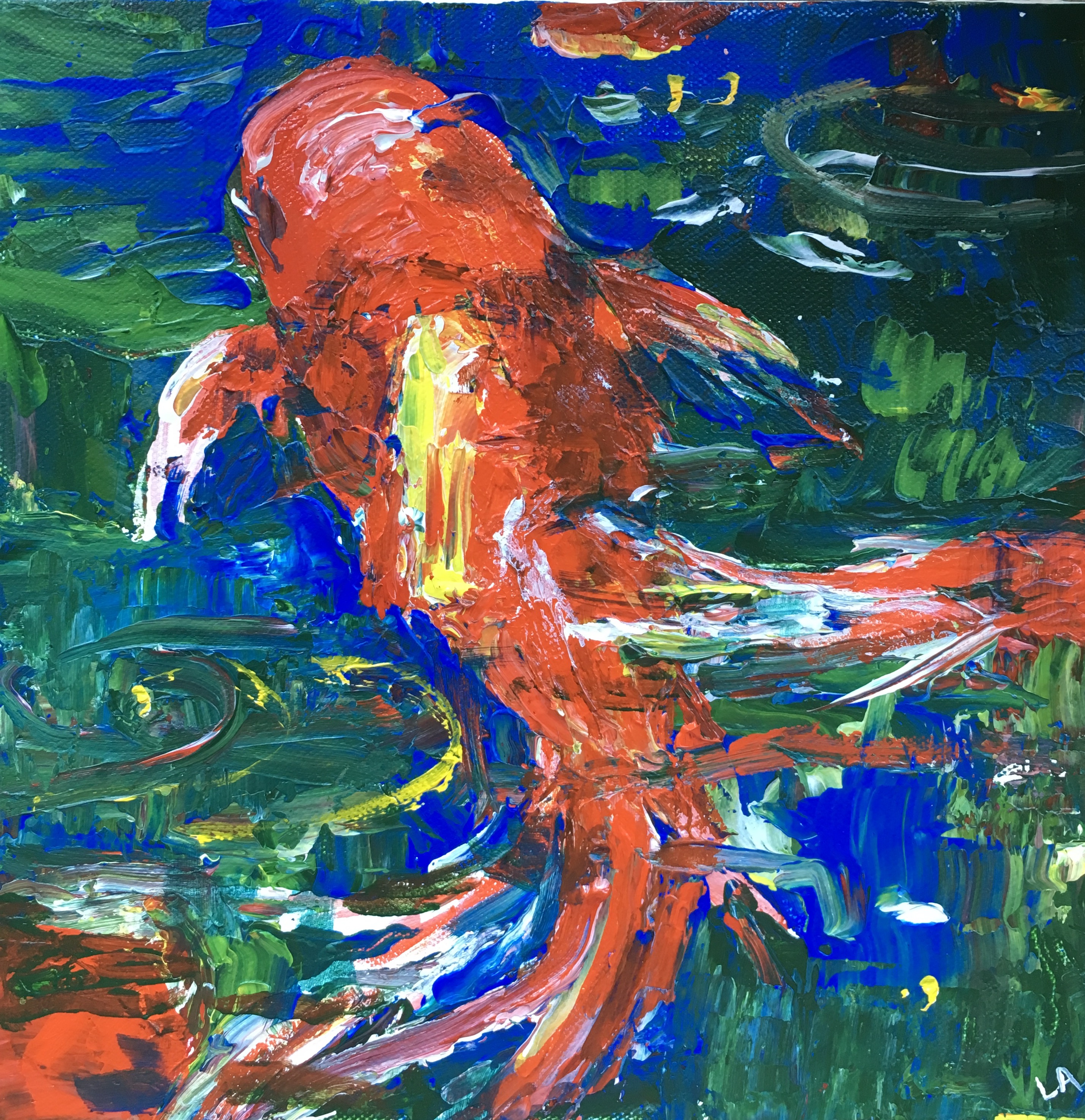 Koi