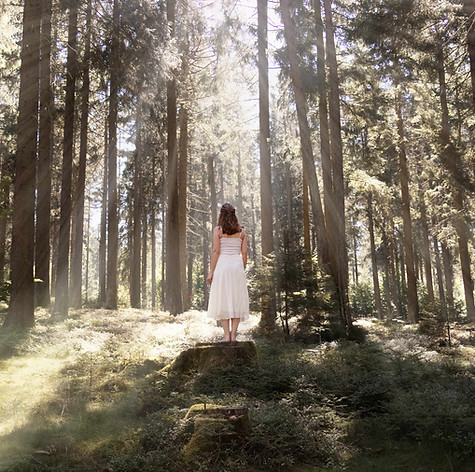 Inner Secret Garden