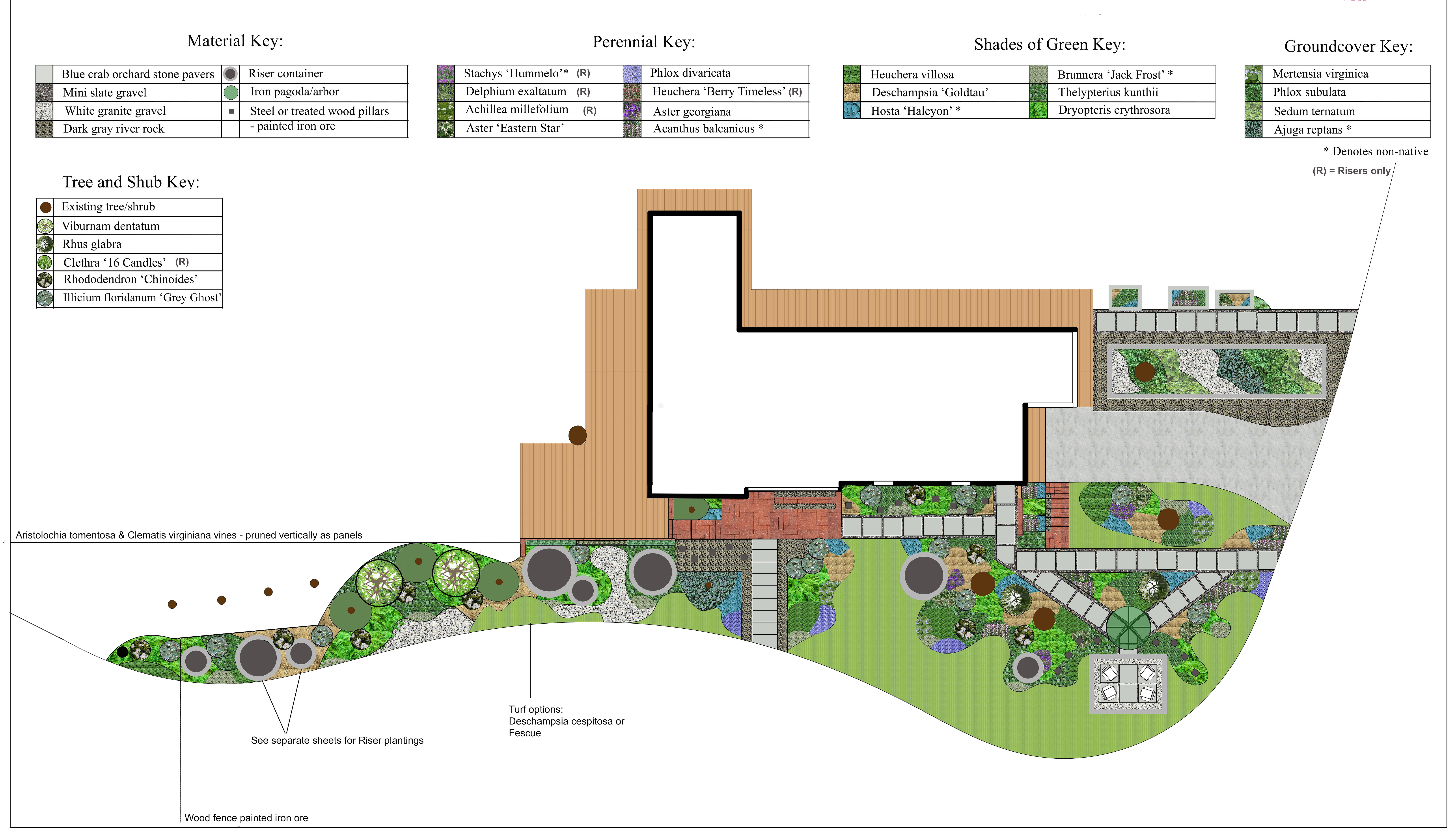 Overhead view of a designed native garden bed with curved edges and mixed plant layers