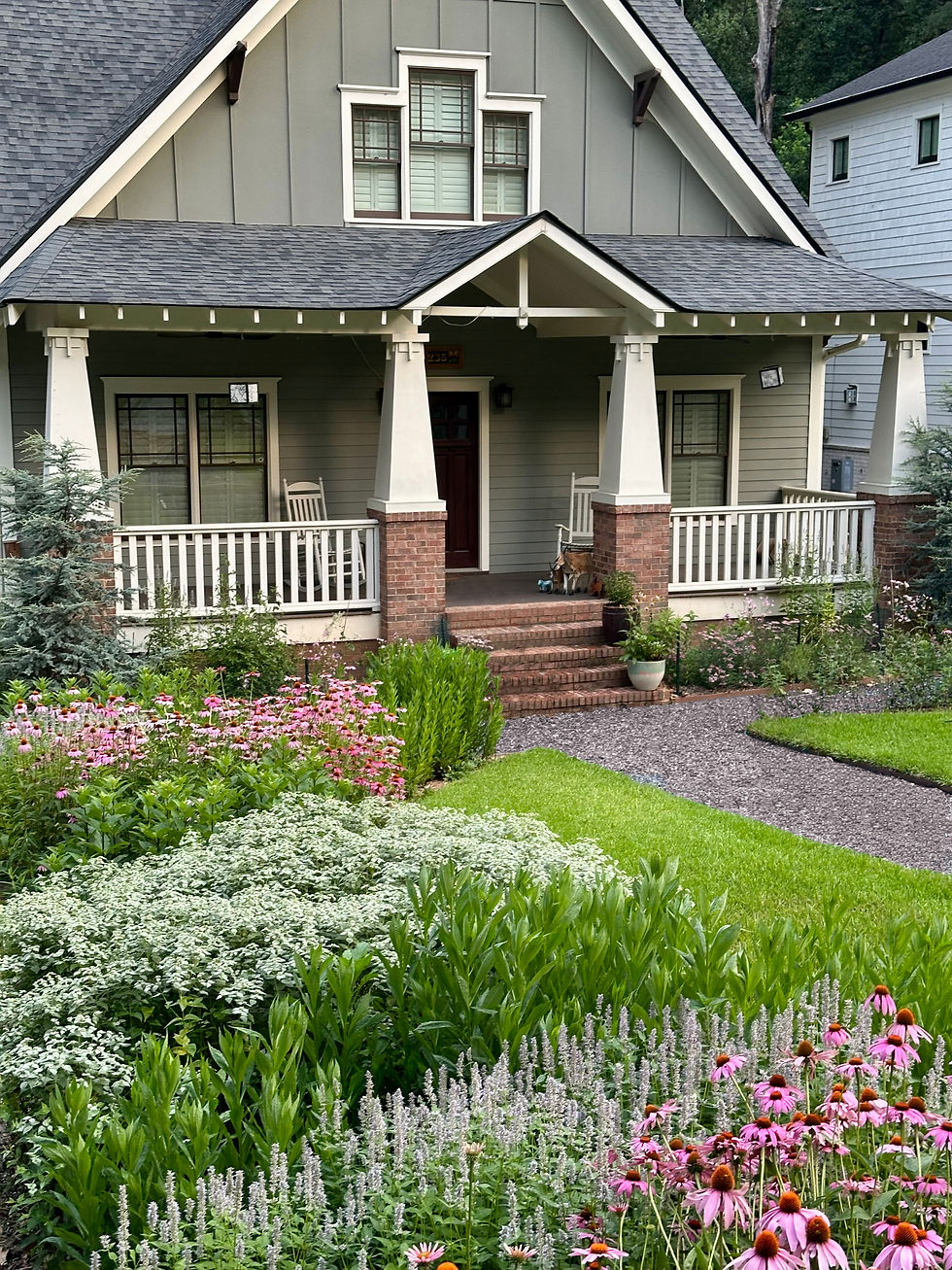 Wide-angle view of a native front yard garden with layered flowers, shrubs, and grasses