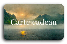 Cartes cadeaux, boutique du roman Les enfants du requin