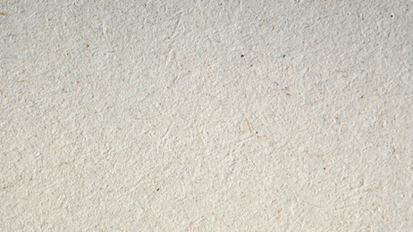 fibra de celulosa.png