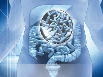 Podría Resultar Peligroso Uso de Microbiota Fecal para Trasplantes: FDA