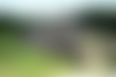 Recorrido virtual por la zona arqueológica de Palenque en el estado de Chiapas