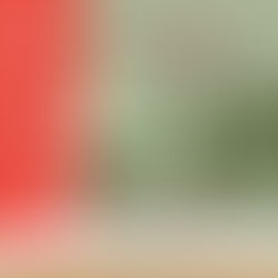 El INEHRM presentará conferencia virtual “La Conquista de México y la división de los pueblos indíge