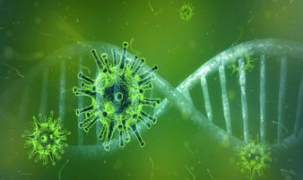 Virus, los Microorganismos más Abundantes de la Tierra, que Cuando se les Aísla no Causan Daño