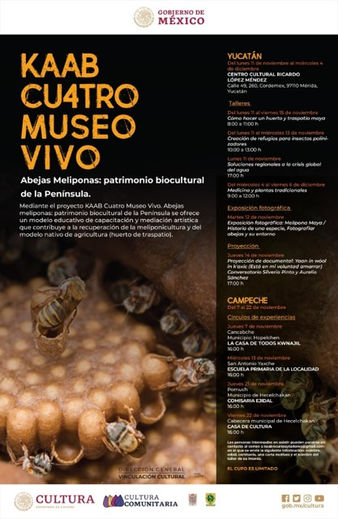 Cultura Comunitaria trabaja para visibilizar la Importancia de las Abejas en el Sur del País